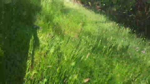 Cuni40  11-05-2022